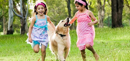pets - health benefits for children